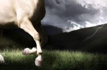 �͟��������S��Ҫ�S�C��(y��ng)׃�c�ɾ�