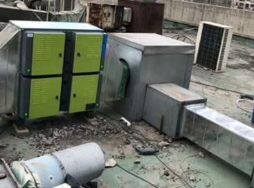  2020��ʳ���͟��������Ј�(ch��ng)�l(f��)չ