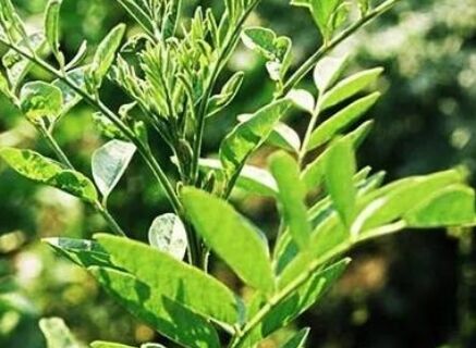  ���涨λҪ���� ���_(d��)�N���cƷ��һ�e���