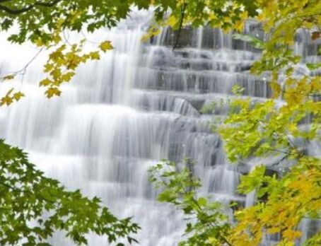 ݔ���Y�Լ��� ����(qi��ng)�����ӄ�(sh��)